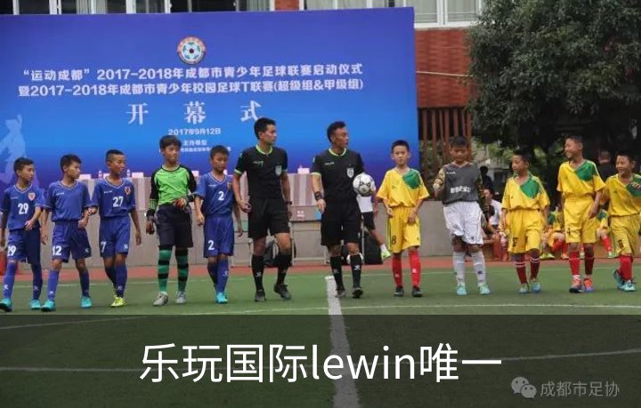 乐玩国际lewin唯一概况